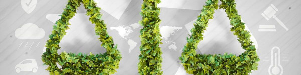 loi climat énergies : analyse et implications du projet