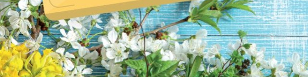 Fermeture exceptionnelle agences 4807immobilier le 23 mars 2026