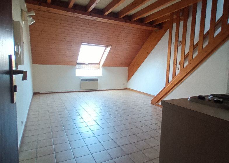 Appartement T2 à vendre à La Roche Sur Foron