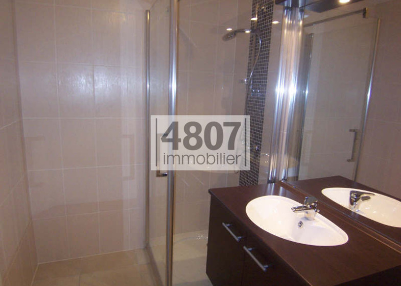 Appartement T2 à louer à Seynod