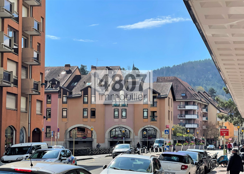 Appartement T4 à vendre à Annecy