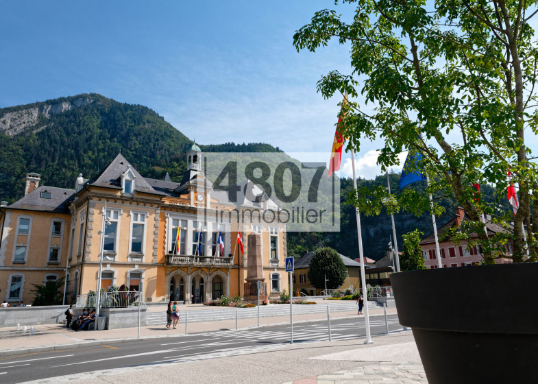 Appartement T2 à vendre à Cluses