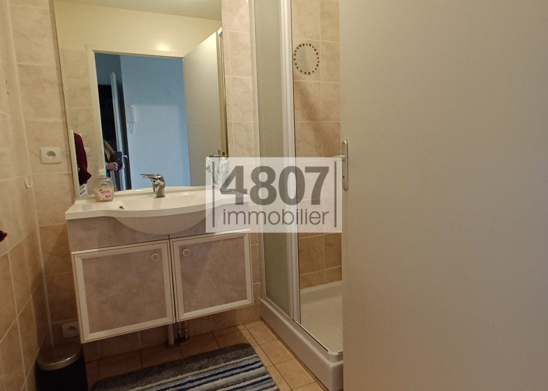 Appartement T2 à vendre à La Roche Sur Foron