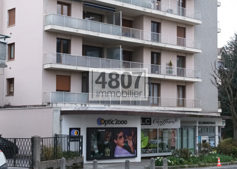 Appartement T2 à vendre à La Roche Sur Foron