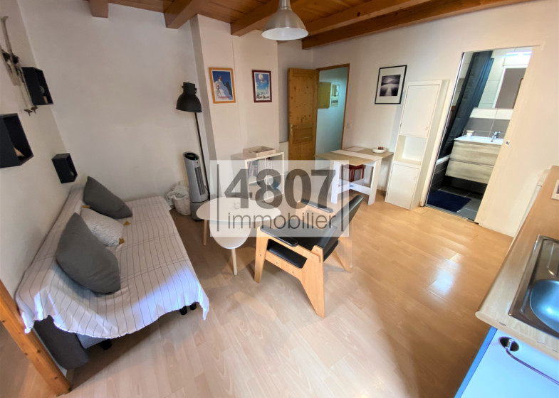 Appartement T2 à vendre à Annecy