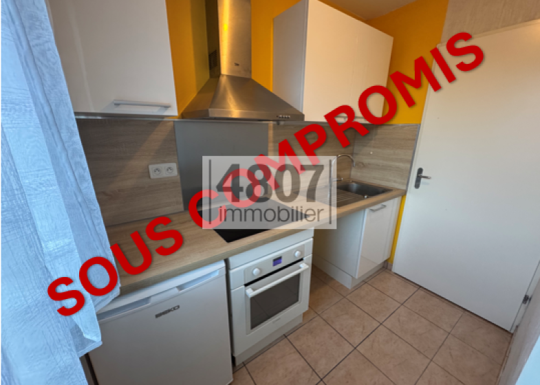 Appartement T2 à vendre à Scionzier