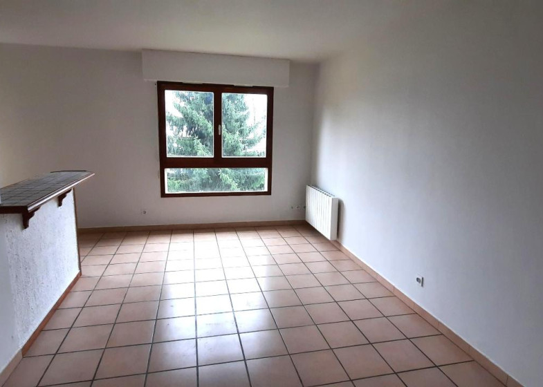 Appartement T2 à louer à Thyez