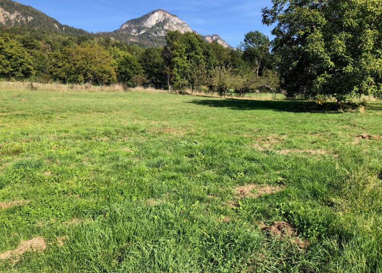 Terrain à vendre à Marignier