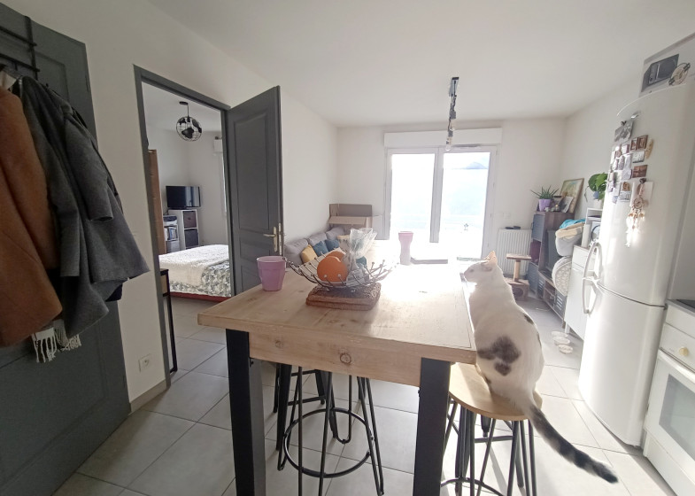 Appartement T2 à vendre à Thyez