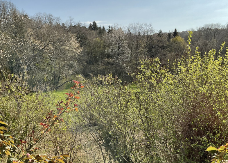 Maison T7 à vendre à Allinges