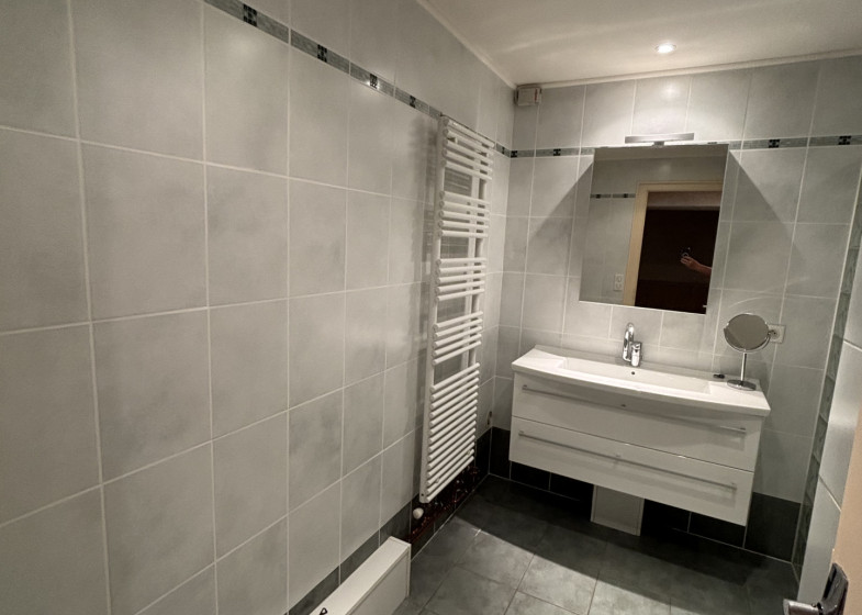Appartement T3 à louer à Scionzier