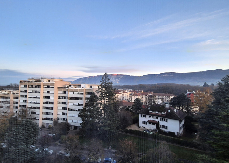 Appartement T2 à vendre à Saint Julien En Genevois