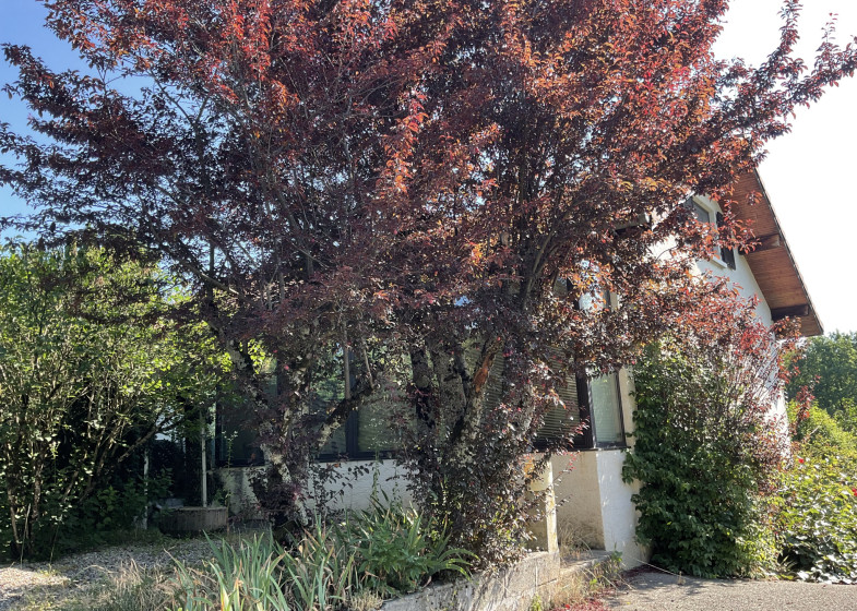 Maison T7 à vendre à Allinges