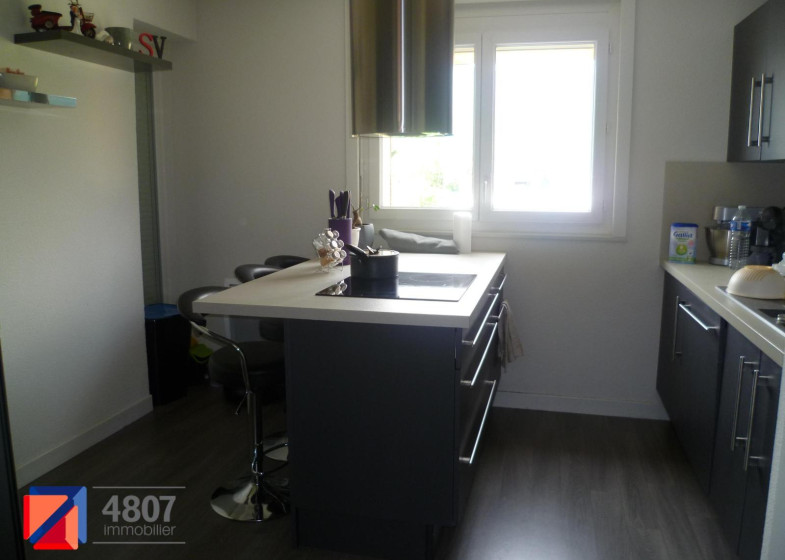 Appartement T3 à louer à Scionzier