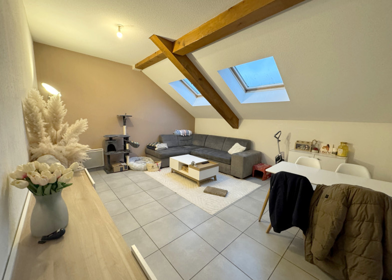 Appartement T3 à vendre à Scionzier