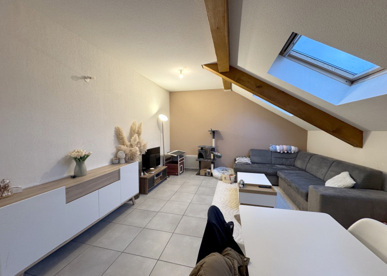 Appartement T3 à vendre à Scionzier