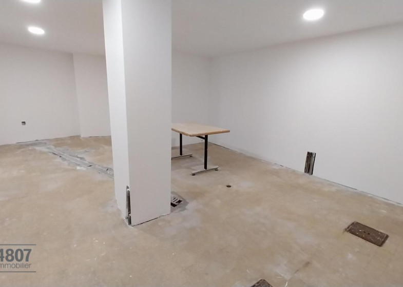 Local à louer à Annemasse