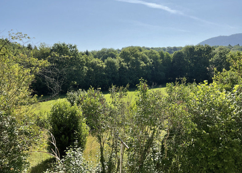 Maison T7 à vendre à Allinges