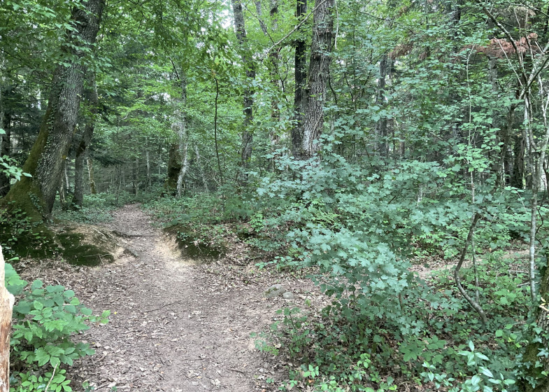 Maison T7 à vendre à Allinges