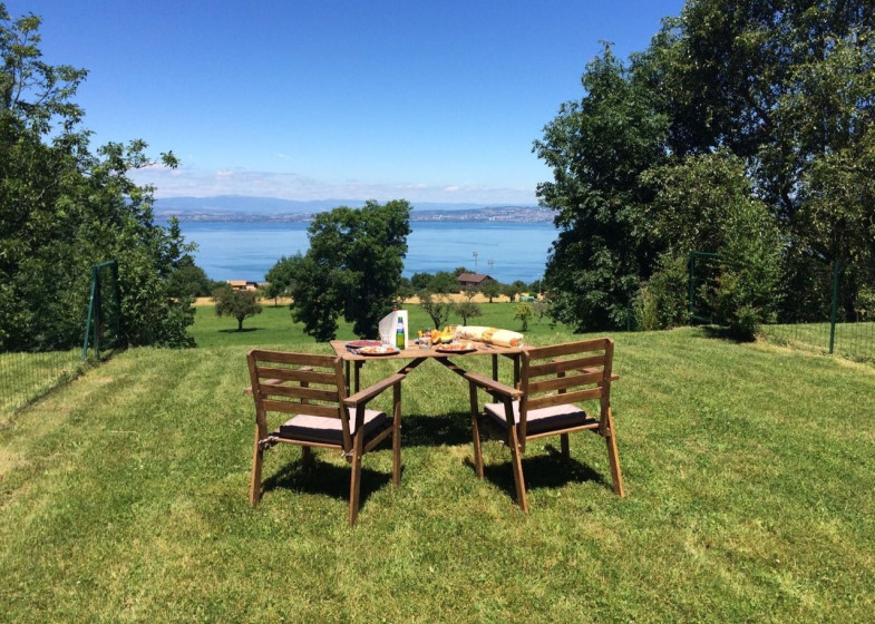 Appartement T2 à vendre à Evian Les Bains