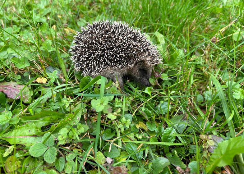 Maison T4 à vendre à Saint Martin Bellevue