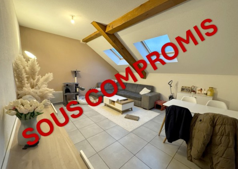 Appartement T3 à vendre à Scionzier