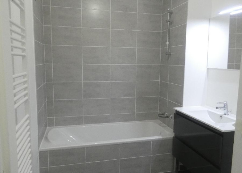 Appartement T3 à louer à Amancy