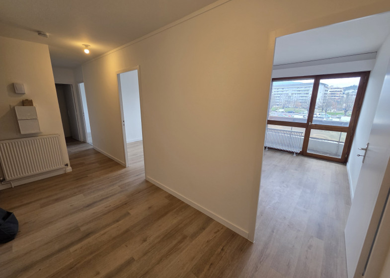 Local à vendre à Annemasse