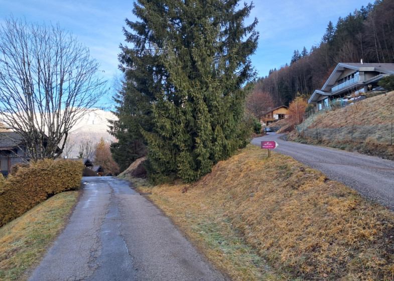 Terrain à vendre à Thones