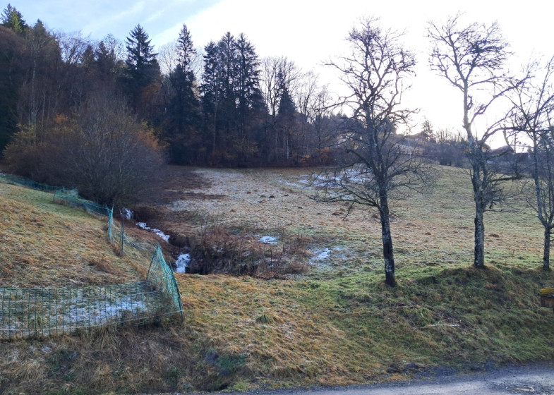 Terrain à vendre à Thones