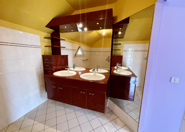 Maison T5 à vendre à Contamine Sur Arve