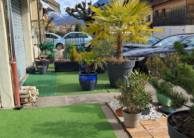 Local à vendre à Saint Jorioz