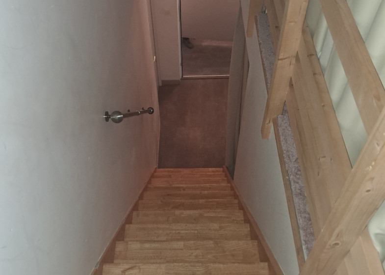 Local à vendre à Saint Jorioz