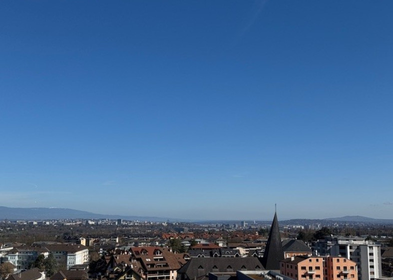 Appartement T7 à vendre à Saint Julien En Genevois