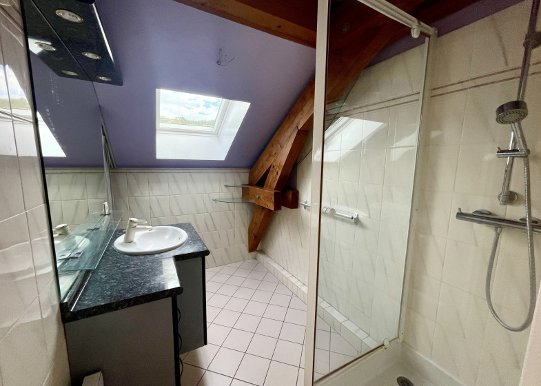 Maison T5 à vendre à Contamine Sur Arve