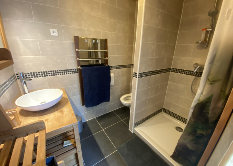 Appartement T3 à vendre à La Roche Sur Foron