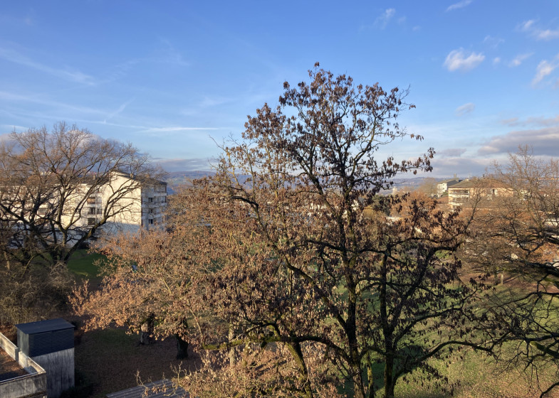 Appartement T1 à vendre à Annecy