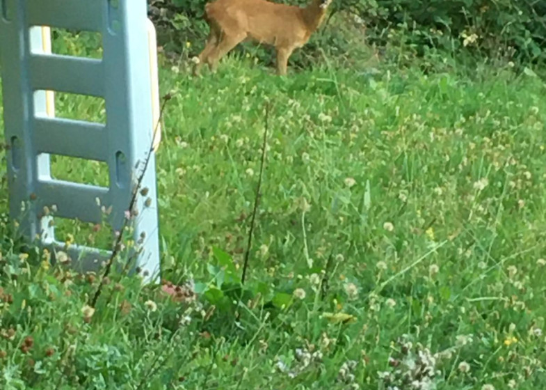 Maison T4 à vendre à Saint Martin Bellevue