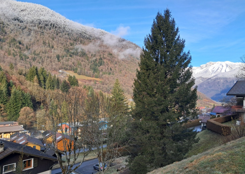 Terrain à vendre à Thones