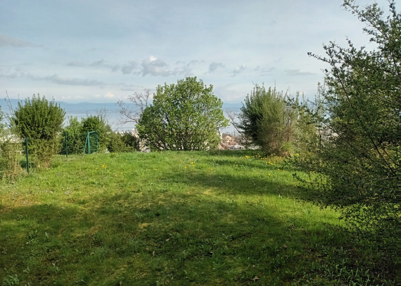 Appartement T2 à vendre à Evian Les Bains