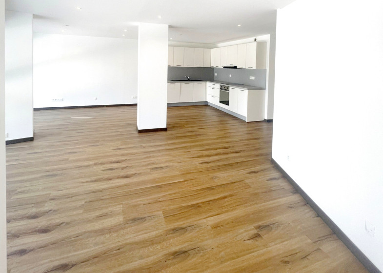 Appartement T3 à vendre à Annemasse