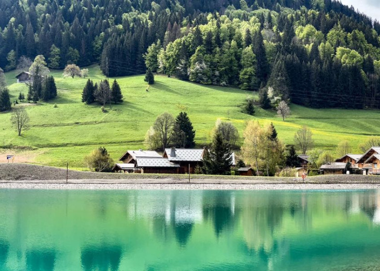 Appartement T4 à vendre à Praz Sur Arly