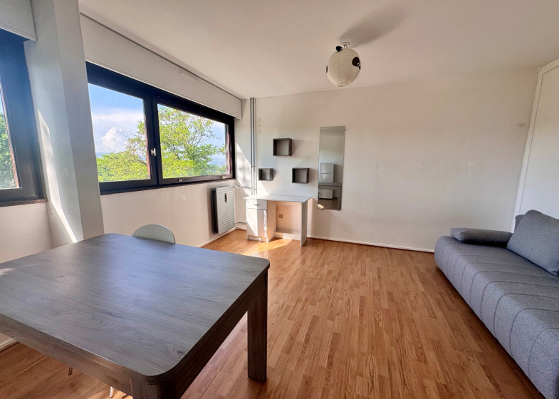 Appartement T1 à vendre à Annecy