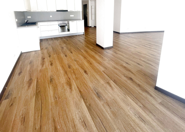 Appartement T3 à vendre à Annemasse