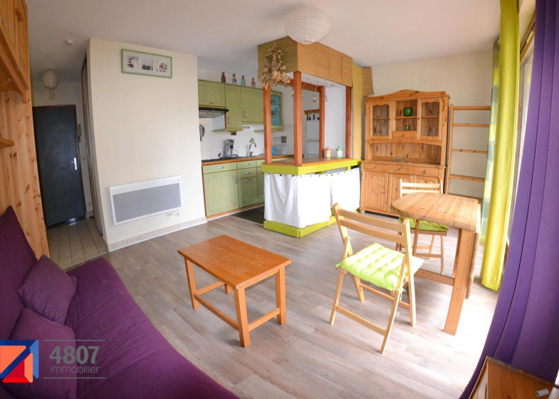 Appartement T1 à louer à La Roche Sur Foron