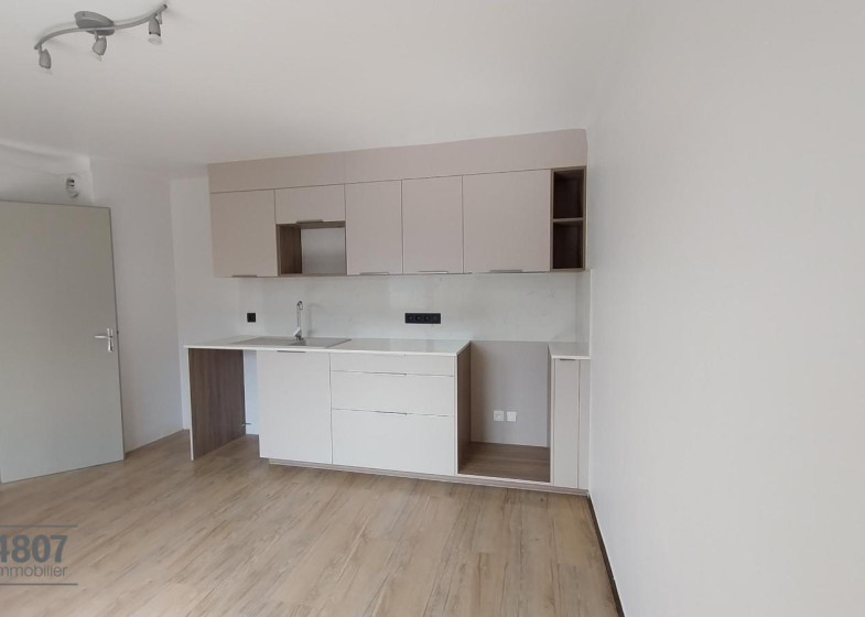 Appartement T3 à louer à Passy