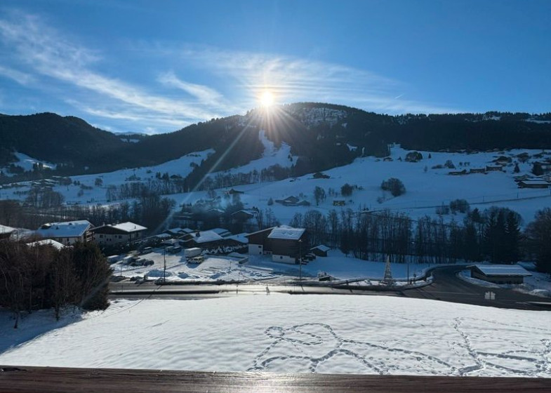 Appartement T3 à vendre à Praz Sur Arly