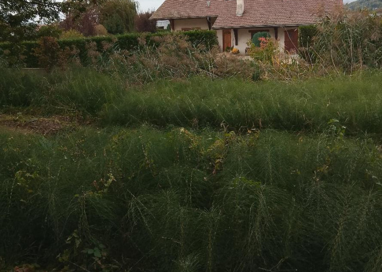 Maison T4 à louer à Cluses