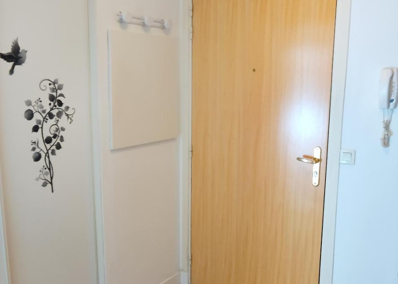 Appartement T2 à louer à Cluses
