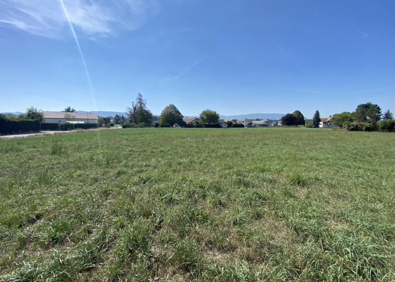 Terrain à vendre à Scientrier